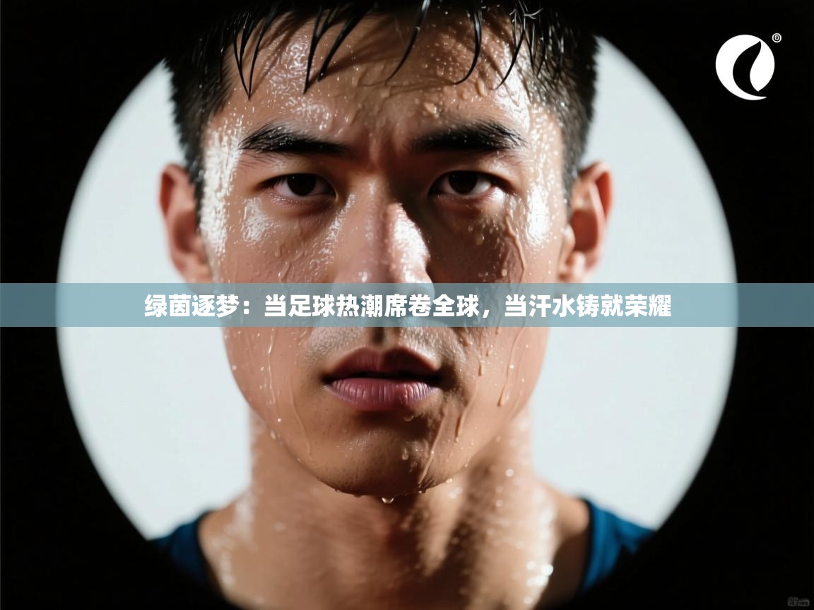 绿茵逐梦:当足球热潮席卷全球,当汗水铸就荣耀 第1张