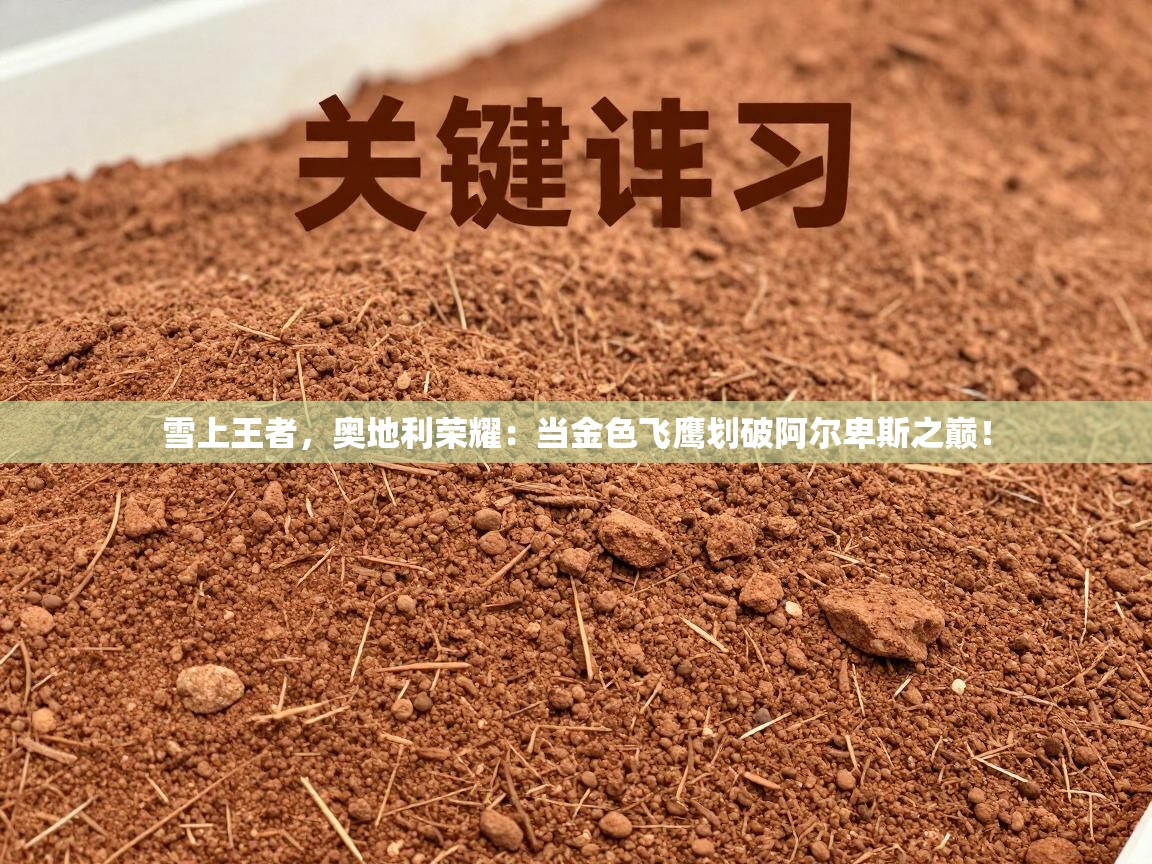 雪上王者，奥地利荣耀：当金色飞鹰划破阿尔卑斯之巅！  第2张